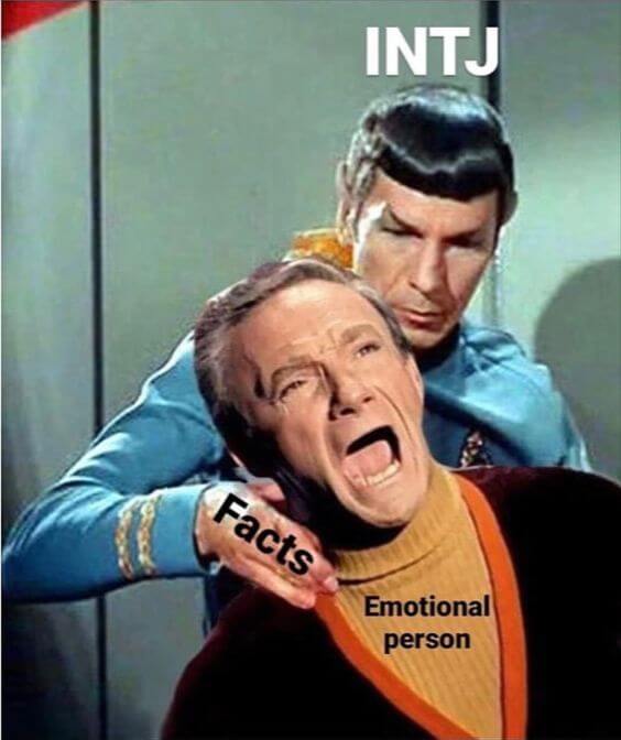 intj emotional support meme