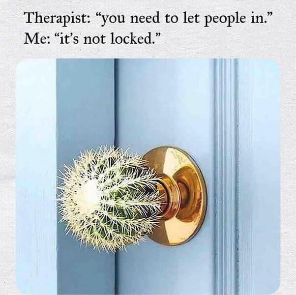 intj therapist meme