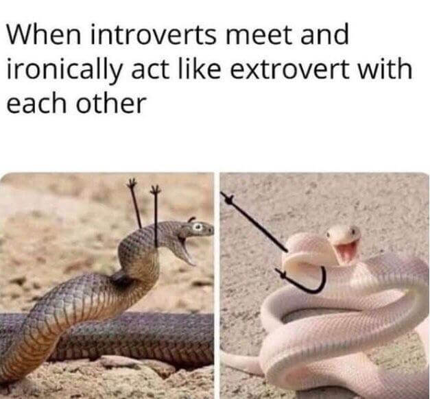 when introverts meet meme